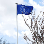 Bild: Flagge Tetenbulls